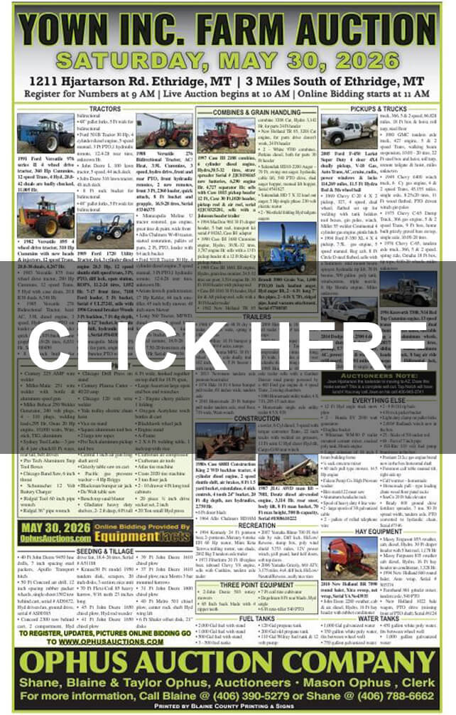 Yown Inc. Farm Auction